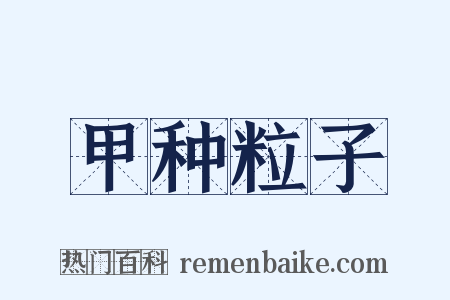 甲种粒子是什么意思的图片